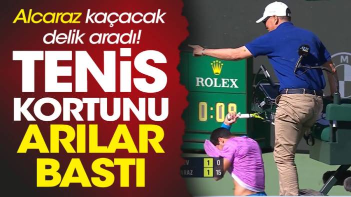 Tenis kortunu arılar bastı dünya 2 numarası Alcaraz kaçacak delik aradı