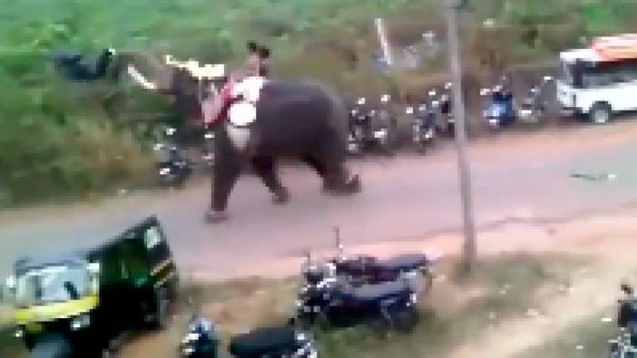 Hindistan'da festivalde dehşet anları: Kızgın fil otoparktaki araçları oyuncak gibi sağa sola savurdu