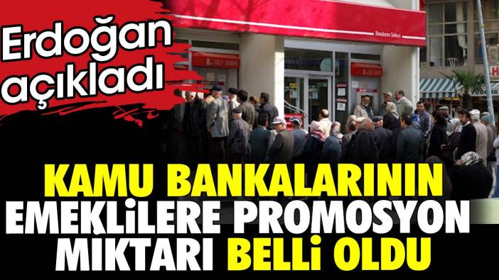 Erdoğan açıkladı. Kamu bankalarının emeklilere promosyon miktarı belli oldu