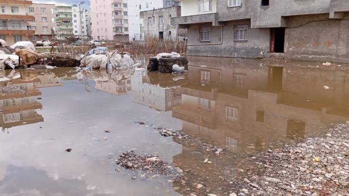 Diyarbakır’da yağmur. Cami ve evleri su bastı