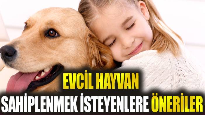 Evcil hayvan sahiplenmek isteyenlere öneriler