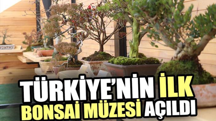 Türkiye’nin ilk bonsai müzesi açıldı