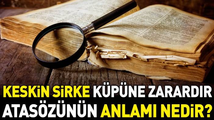 Keskin sirke küpüne zarardır atasözünün anlamı nedir?