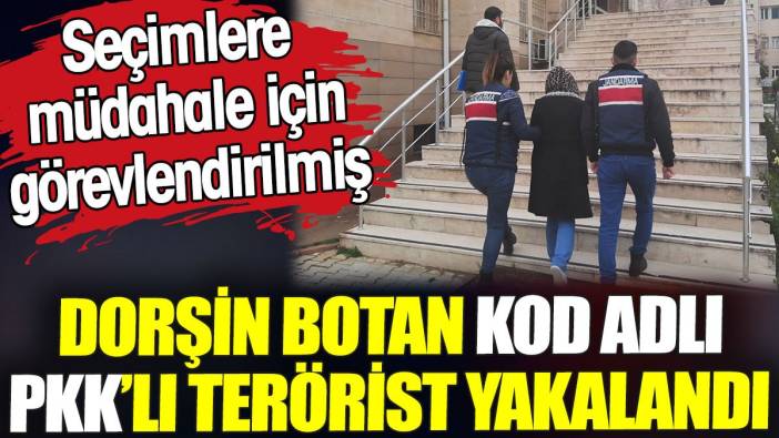 Dorşin Botan kod adlı PKK'lı terörist yakalandı. Seçimlere müdahale için görevlendirilmiş