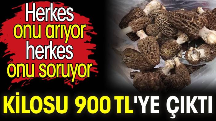 Kilosu 900 TL'ye çıktı. Herkes onu arıyor herkes onu soruyor