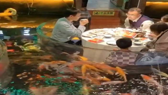 Balıklarla çevrili masalarda ilgi çekici deneyim: Akvaryum Restoranları