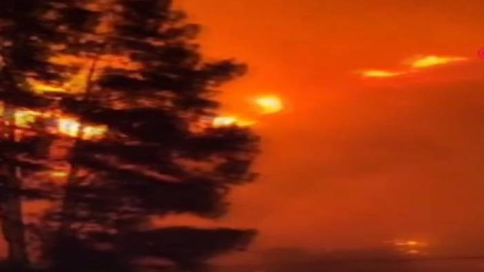 Meksika cayır cayır yanıyor: 15 eyaletinde 58 orman yangını çıktı