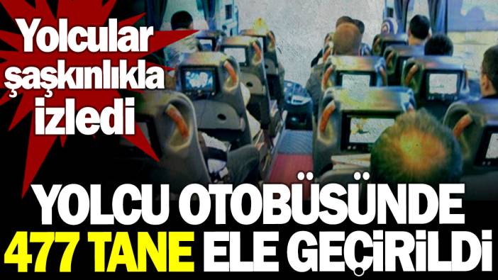 Yolcu otobüsünde 477 tane ele geçirildi. Yolcular şaşkınlıkla izledi