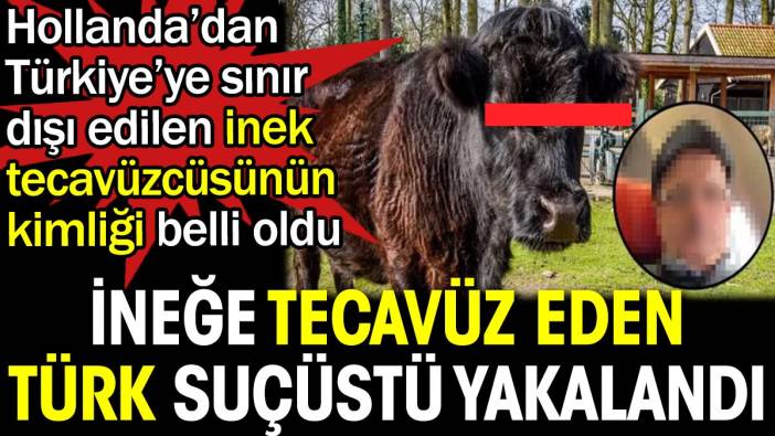 İneğe tecavüz eden Türk suçüstü yakalandı. Hollanda’dan Türkiye’ye sınır dışı edilen inek tecavüzcüsünün kimliği belli oldu