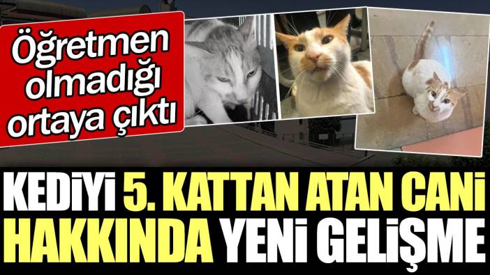 Kediyi 5. kattan atan cani hakkında yeni gelişme. Öğretmen olmadığı ortaya çıktı