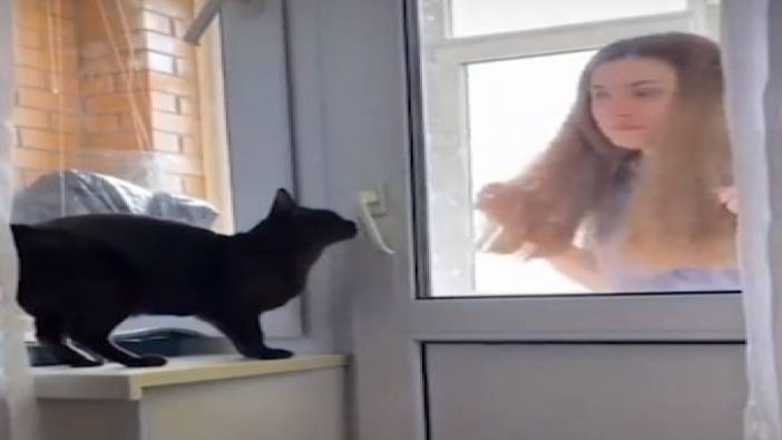 Dışarıda kalan sahibine kapıyı açan kedi izleyenleri şaşırttı