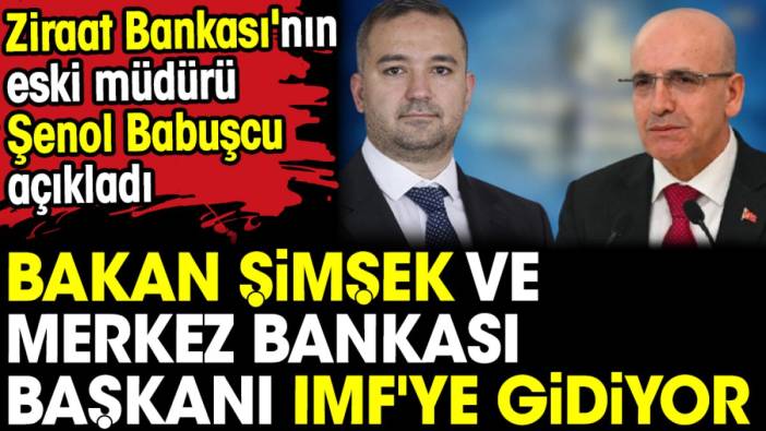 Bakan Şimşek ve Merkez Bankası Başkanı IMF'ye gidiyor. Ziraat Bankası'nın eski müdürü Şenol Babuşcu açıkladı