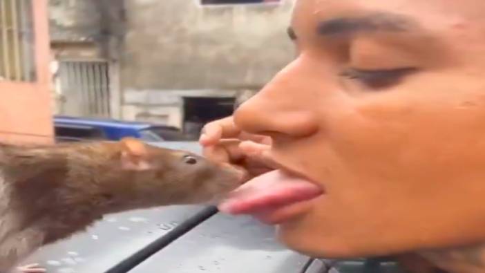 Brezilya’da lağım faresini ağzıyla besledi!