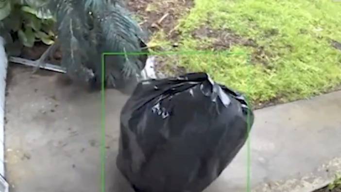 İlginç hırsızlık yöntemi: Çöp poşeti kılığına girip kapıdaki kargoyu çaldı