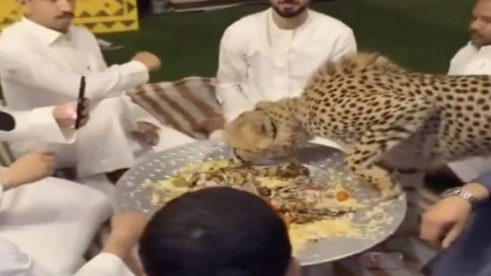 Leoparı evcil hayvan gibi besleyip birlikte yemek yediler