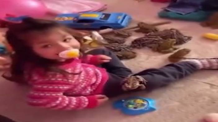 Kurbağa Prens çizgi filminden etkilenen küçük kız evi kurbağayla doldurdu