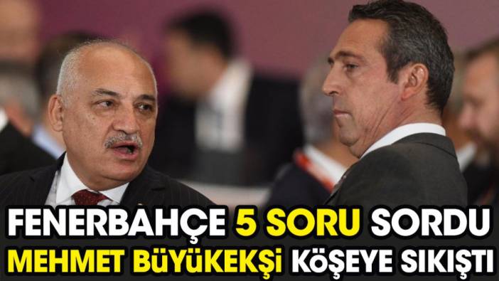 Fenerbahçe 5 soru sordu. Mehmet Büyükekşi köşeye sıkıştı