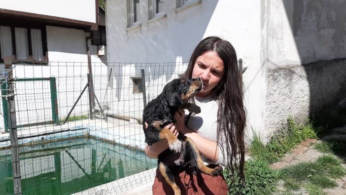Boğulmak üzere olan köpeği vatandaşlar kurtardı