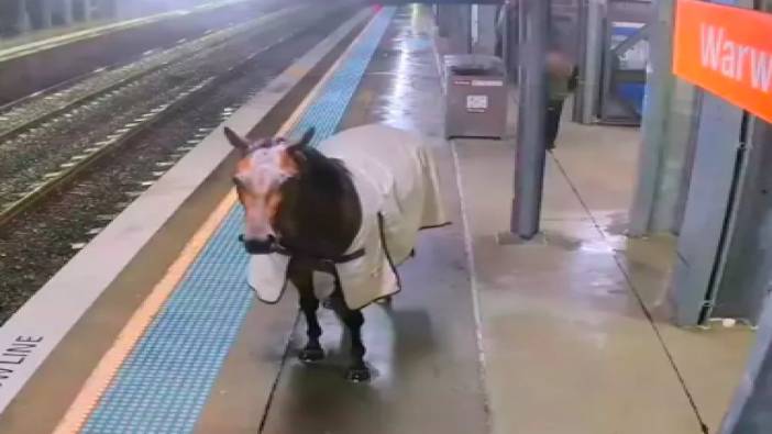 Kaçak yarış atı tren istasyonuna daldı