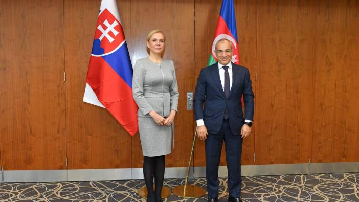 Azerbaycan ile Slovakya iş birliğine hazır