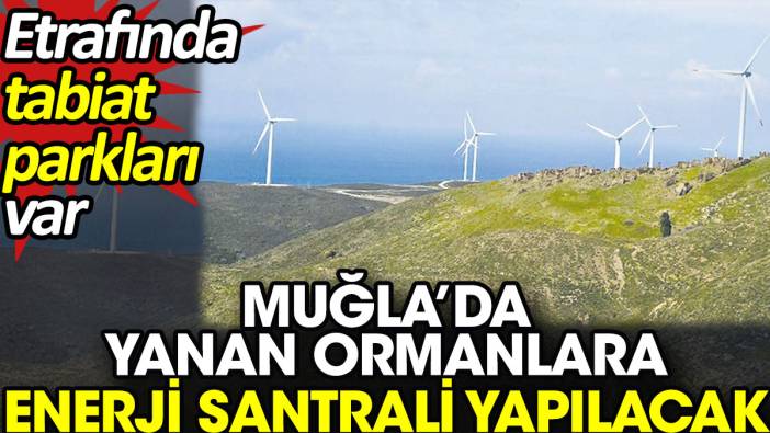 Muğla’da yanan ormanlara enerji santrali yapılacak. Etrafında tabiat parkları var