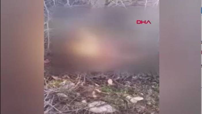 Erzincan'da Köpeklerine boğdurduğu kurdu yaktı. Yaşanan vahşet kameralara yansıdı
