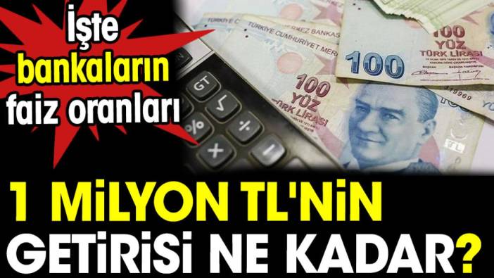 1 milyon TL'nin getirisi ne kadar? İşte bankaların faiz oranları