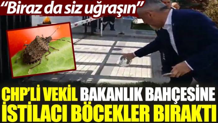 CHP’li vekil, bakanlık bahçesine istilacı böcekler bıraktı: Biraz da siz uğraşın