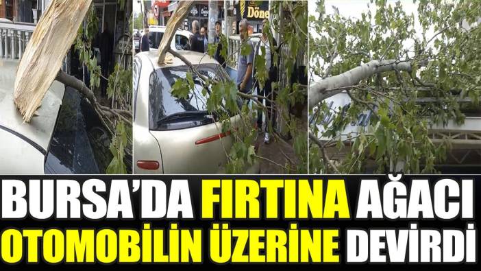 Bursa’da fırtına ağacı otomobilin üzerine devirdi