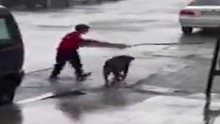 Küçük çocuktan insanlık dersi: Yağmurda ıslanan köpeği korumaya çalıştı