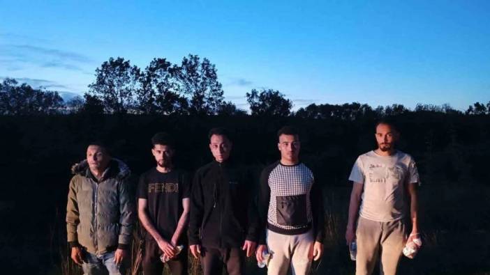Edirne’de 5 kaçak göçmen yakalandı