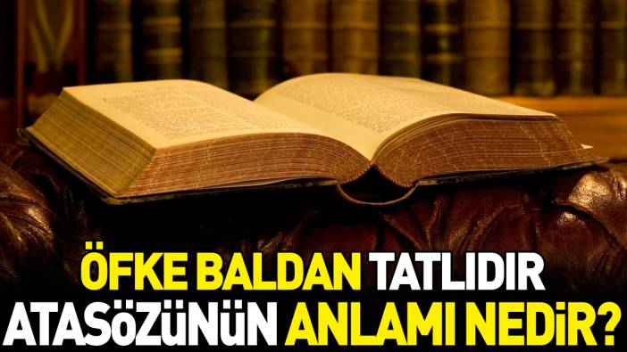 Öfke baldan tatlıdır atasözünün anlamı nedir?