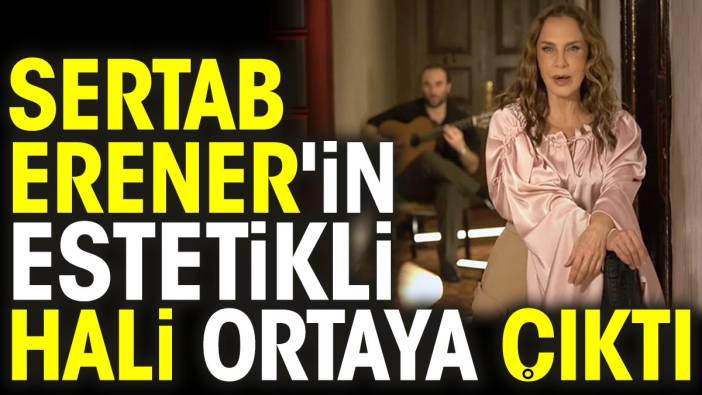 Sertab Erener'in estetikli hali ortaya çıktı