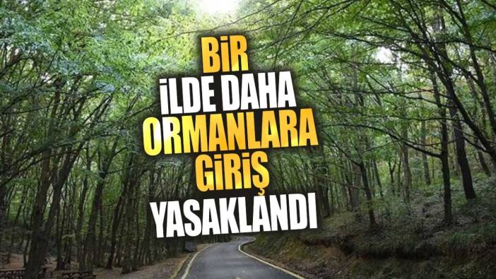 Bir ilde daha ormanlara giriş yasaklandı! 30 Kasım’a kadar sürecek