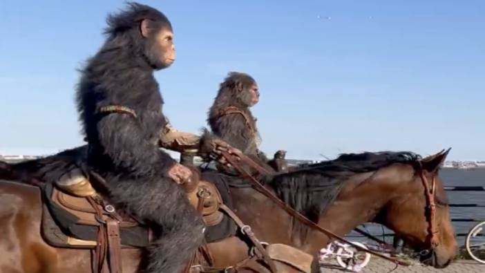 Film tanıtımı için New York sokaklarında at üstünde gezen maymunlar