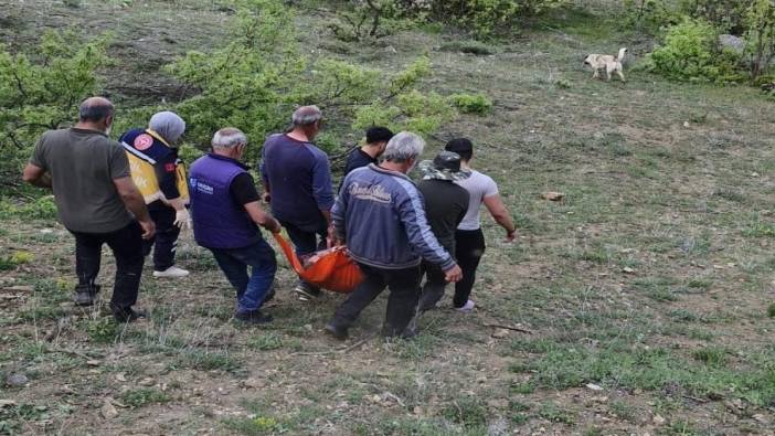 Tunceli'de hayvanlarını otlatan adama ayı saldırdı