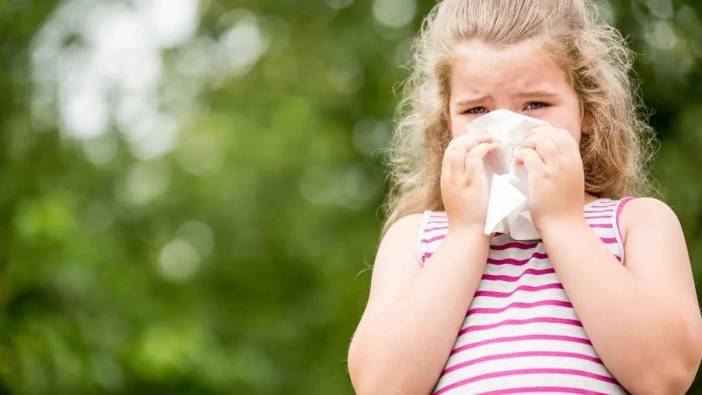 Çocuklardaki alerjik nezleyle ilgili uyarılar