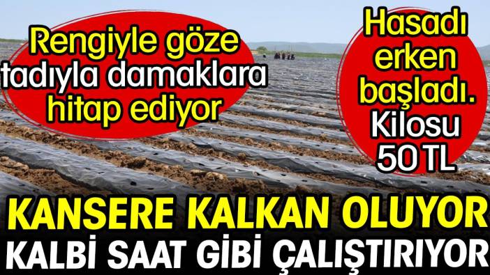 Kansere kalkan oluyor kalbi saat gibi çalıştırıyor! Kilosu 50 TL