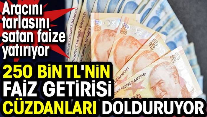 250 bin TL'nin faiz getirisi cüzdanları dolduruyor. Aracını tarlasını satan faize yatırıyor