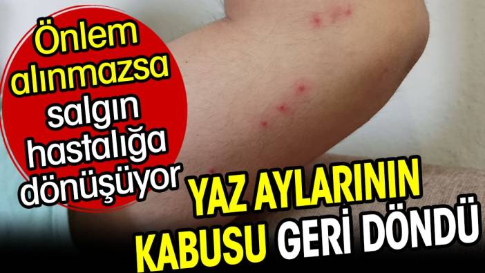 Yaz aylarının kabusu geri döndü. Önlem alınmazsa salgın hastalığa dönüşüyor