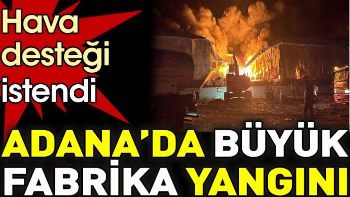 Adana'da büyük fabrika yangını. Hava desteği istendi