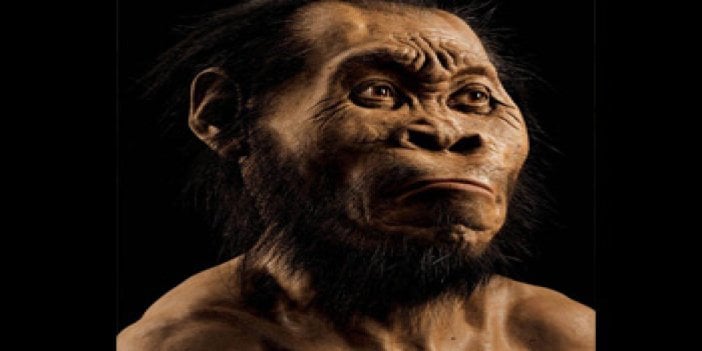 Evrim'in yeni halkası: Homo Naledi