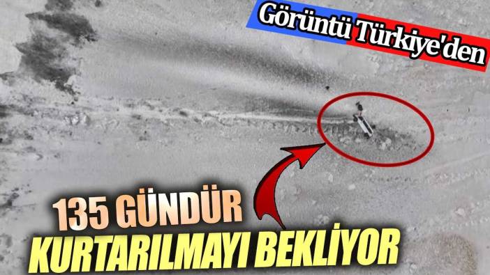 Görüntü Türkiye'den! 135 gündür kurtarılmayı bekliyor