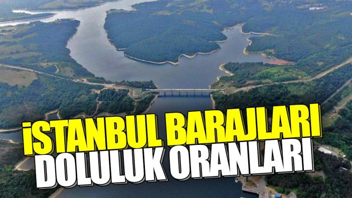 İstanbul barajlarındaki doluluk oranları