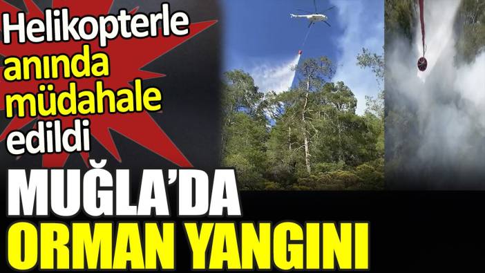 Muğla’da orman yangını. Helikopterle anında müdahale edildi