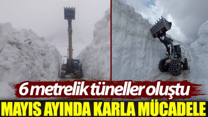 Mayıs ayında karla mücadele: 6 metrelik tüneller oluştu
