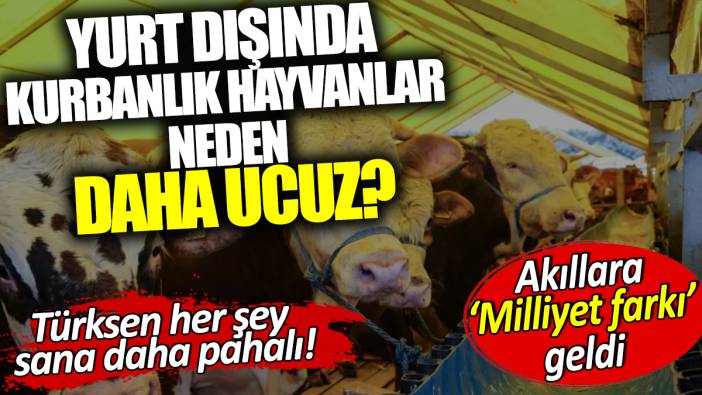 Yurt dışında kurban kesmek neden daha ucuz? Akıllara 'Milliyet farkı' geldi