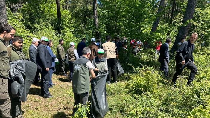 Sinop'ta orman temizliği seferberliği