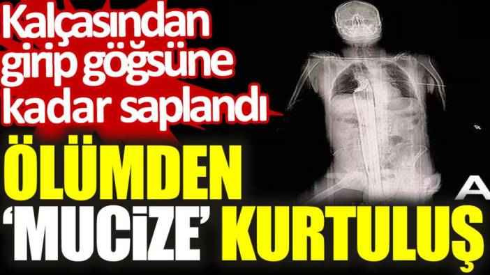 Ölümden ‘mucize’ kurtuluş: Kalçasından girip göğsüne kadar saplandı