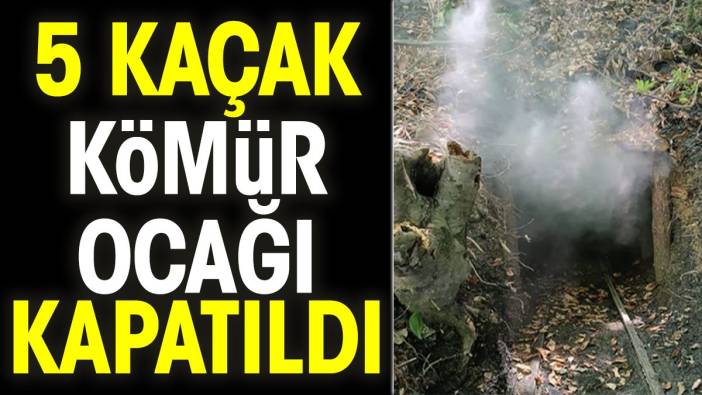 5 kaçak kömür ocağı kapatıldı